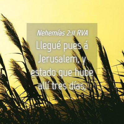 Picture 04 - Nehemías 2:11 RVA - Llegué pues á Jerusalem, y estado que hube - Bible Verse Picture