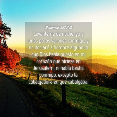Picture 04 - Nehemías 2:12 RVA - Levantéme de noche, yo y unos pocos varones - Bible Verse Picture