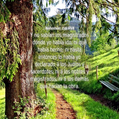 Picture 04 - Nehemías 2:16 RVA - Y no sabían los magistrados dónde yo había - Bible Verse Picture