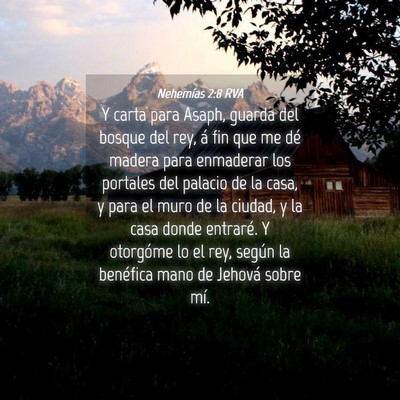 Picture 04 - Nehemías 2:8 RVA - Y carta para Asaph, guarda del bosque del rey, á - Bible Verse Picture