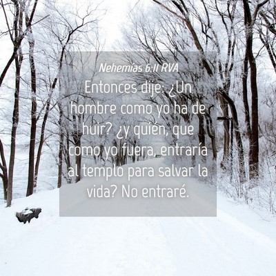Picture 04 - Nehemías 6:11 RVA - Entonces dije: ¿Un hombre como yo ha de huir? - Bible Verse Picture