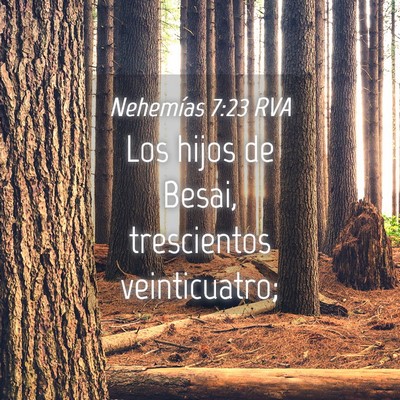 Picture 04 - Nehemías 7:23 RVA - Los hijos de Besai, trescientos - Bible Verse Picture