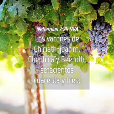 Picture 04 - Nehemías 7:29 RVA - Los varones de Chîriath-jearim, Chephira y - Bible Verse Picture