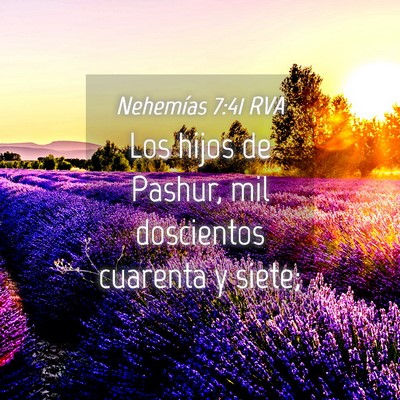 Picture 04 - Nehemías 7:41 RVA - Los hijos de Pashur, mil doscientos cuarenta y - Bible Verse Picture
