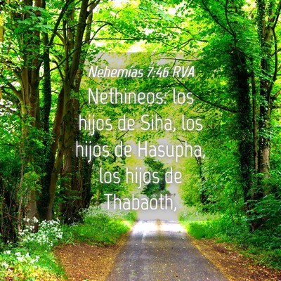 Picture 04 - Nehemías 7:46 RVA - Nethineos: los hijos de Siha, los hijos de - Bible Verse Picture