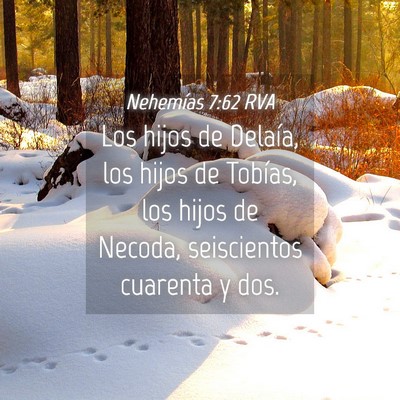 Picture 04 - Nehemías 7:62 RVA - Los hijos de Delaía, los hijos de Tobías, los - Bible Verse Picture