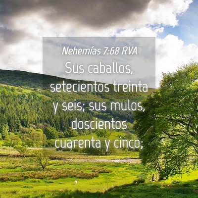 Picture 04 - Nehemías 7:68 RVA - Sus caballos, setecientos treinta y seis; sus - Bible Verse Picture