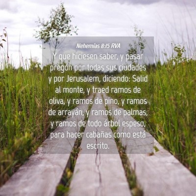 Picture 04 - Nehemías 8:15 RVA - Y que hiciesen saber, y pasar pregón por todas - Bible Verse Picture