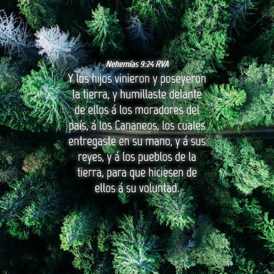 Picture 04 - Nehemías 9:24 RVA - Y los hijos vinieron y poseyeron la tierra, y - Bible Verse Picture