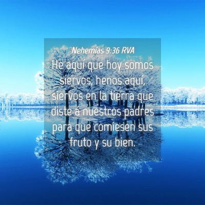 Picture 04 - Nehemías 9:36 RVA - He aquí que hoy somos siervos, henos aquí, - Bible Verse Picture