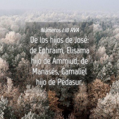 Picture 04 - Números 1:10 RVA - De los hijos de José: de Ephraim, Elisama hijo - Bible Verse Picture
