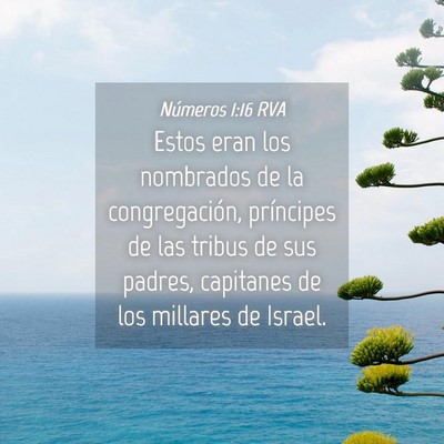 Picture 04 - Números 1:16 RVA - Estos eran los nombrados de la congregación, - Bible Verse Picture