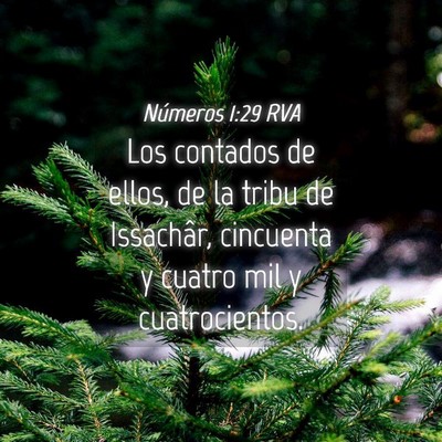 Picture 04 - Números 1:29 RVA - Los contados de ellos, de la tribu de Issachâr, - Bible Verse Picture