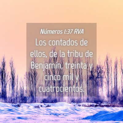 Picture 04 - Números 1:37 RVA - Los contados de ellos, de la tribu de Benjamín, - Bible Verse Picture