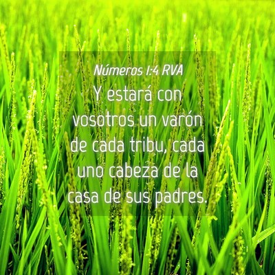 Picture 04 - Números 1:4 RVA - Y estará con vosotros un varón de cada tribu, - Bible Verse Picture