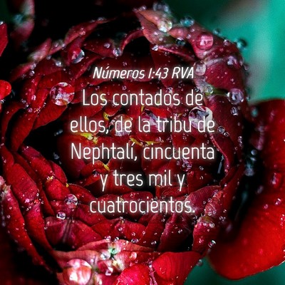 Picture 04 - Números 1:43 RVA - Los contados de ellos, de la tribu de Nephtalí, - Bible Verse Picture