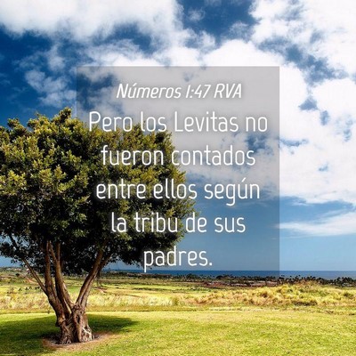 Picture 04 - Números 1:47 RVA - Pero los Levitas no fueron contados entre ellos - Bible Verse Picture