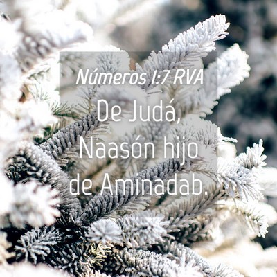 Picture 04 - Números 1:7 RVA - De Judá, Naasón hijo de - Bible Verse Picture