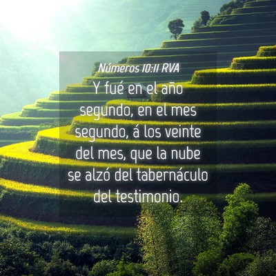 Picture 04 - Números 10:11 RVA - Y fué en el año segundo, en el mes segundo, á - Bible Verse Picture