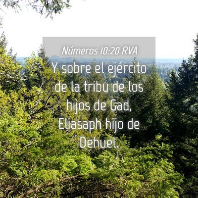 Picture 04 - Números 10:20 RVA - Y sobre el ejército de la tribu de los hijos de - Bible Verse Picture