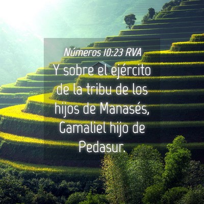 Picture 04 - Números 10:23 RVA - Y sobre el ejército de la tribu de los hijos de - Bible Verse Picture