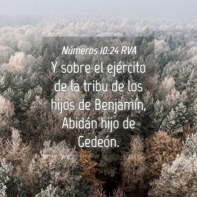 Picture 04 - Números 10:24 RVA - Y sobre el ejército de la tribu de los hijos de - Bible Verse Picture