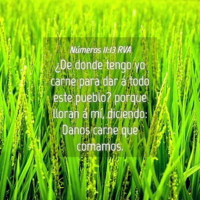 Picture 04 - Números 11:13 RVA - ¿De donde tengo yo carne para dar á todo este - Bible Verse Picture