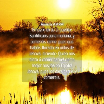 Picture 04 - Números 11:18 RVA - Empero dirás al pueblo: Santificaos para - Bible Verse Picture