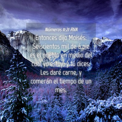 Picture 04 - Números 11:21 RVA - Entonces dijo Moisés: Seiscientos mil de á pie - Bible Verse Picture
