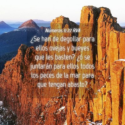 Picture 04 - Números 11:22 RVA - ¿Se han de degollar para ellos ovejas y bueyes - Bible Verse Picture