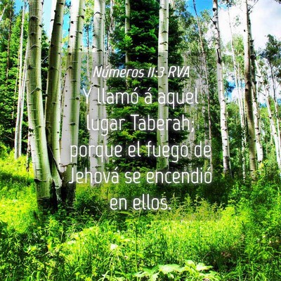 Picture 04 - Números 11:3 RVA - Y llamó á aquel lugar Taberah; porque el fuego - Bible Verse Picture