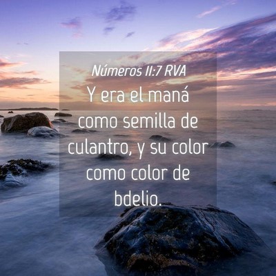 Picture 04 - Números 11:7 RVA - Y era el maná como semilla de culantro, y su - Bible Verse Picture