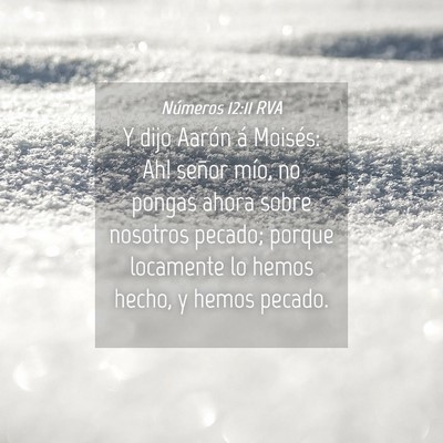 Picture 04 - Números 12:11 RVA - Y dijo Aarón á Moisés: ­Ah! señor mío, no - Bible Verse Picture