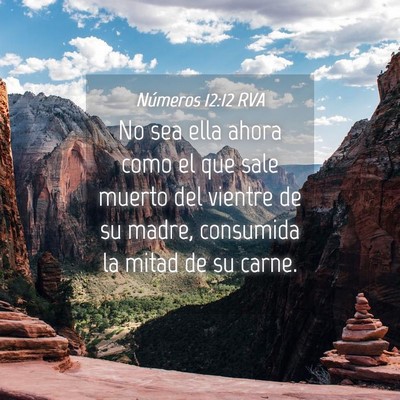 Picture 04 - Números 12:12 RVA - No sea ella ahora como el que sale muerto del - Bible Verse Picture