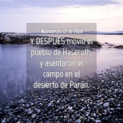 Picture 04 - Números 12:16 RVA - Y DESPUÉS movió el pueblo de Haseroth, y - Bible Verse Picture