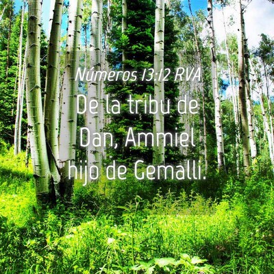 Picture 04 - Números 13:12 RVA - De la tribu de Dan, Ammiel hijo de - Bible Verse Picture