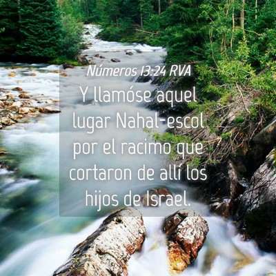 Picture 04 - Números 13:24 RVA - Y llamóse aquel lugar Nahal-escol por el racimo - Bible Verse Picture
