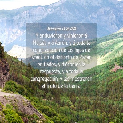 Picture 04 - Números 13:26 RVA - Y anduvieron y vinieron á Moisés y á Aarón, y - Bible Verse Picture