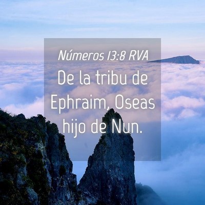Picture 04 - Números 13:8 RVA - De la tribu de Ephraim, Oseas hijo de - Bible Verse Picture