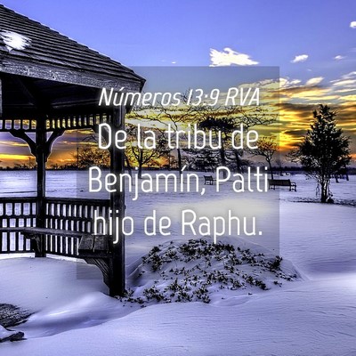 Picture 04 - Números 13:9 RVA - De la tribu de Benjamín, Palti hijo de - Bible Verse Picture