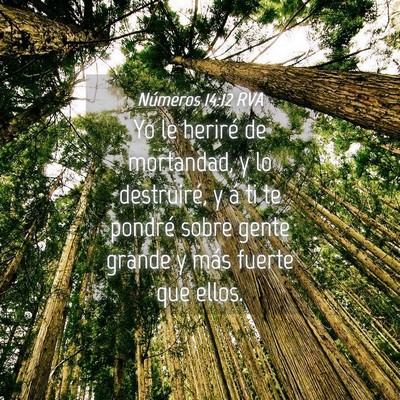 Picture 04 - Números 14:12 RVA - Yo le heriré de mortandad, y lo destruiré, y á - Bible Verse Picture