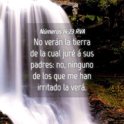 Picture 04 - Números 14:23 RVA - No verán la tierra de la cual juré á sus - Bible Verse Picture
