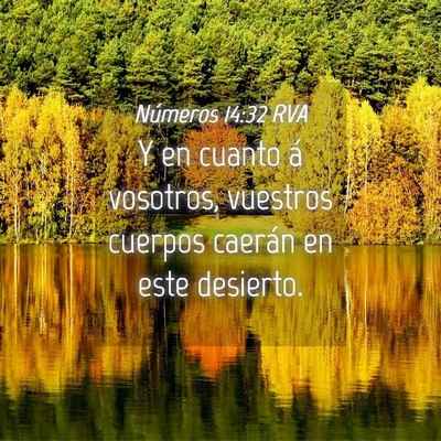 Picture 04 - Números 14:32 RVA - Y en cuanto á vosotros, vuestros cuerpos caerán - Bible Verse Picture