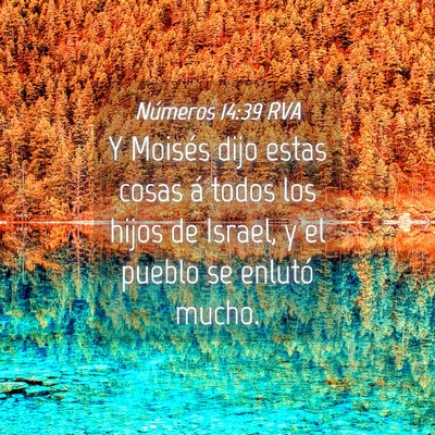 Picture 04 - Números 14:39 RVA - Y Moisés dijo estas cosas á todos los hijos de - Bible Verse Picture