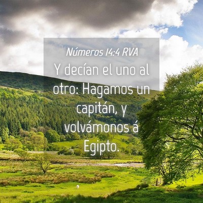 Picture 04 - Números 14:4 RVA - Y decían el uno al otro: Hagamos un capitán, y - Bible Verse Picture