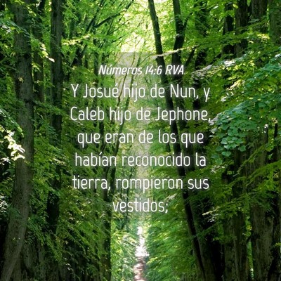 Picture 04 - Números 14:6 RVA - Y Josué hijo de Nun, y Caleb hijo de Jephone, - Bible Verse Picture