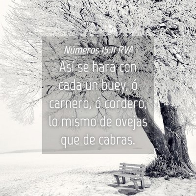 Picture 04 - Números 15:11 RVA - Así se hará con cada un buey, ó carnero, ó - Bible Verse Picture