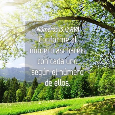Picture 04 - Números 15:12 RVA - Conforme al número así haréis con cada uno - Bible Verse Picture