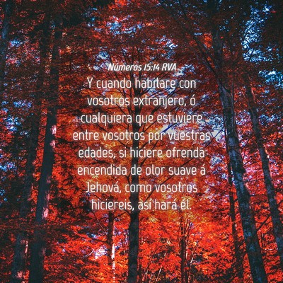 Picture 04 - Números 15:14 RVA - Y cuando habitare con vosotros extranjero, ó - Bible Verse Picture