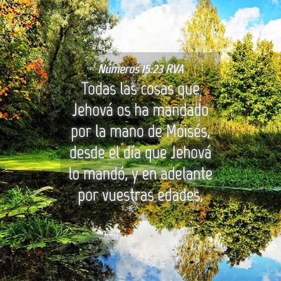 Picture 04 - Números 15:23 RVA - Todas las cosas que Jehová os ha mandado por la - Bible Verse Picture